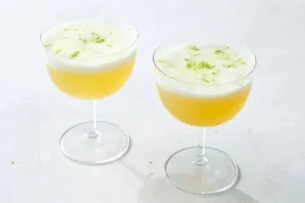 Gin and Tonic Sgroppino